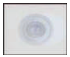 download.png